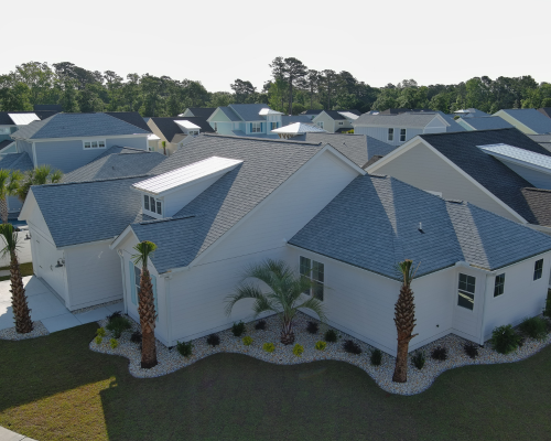 curved and artistic landscape design