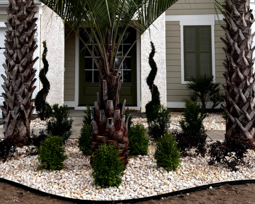 front yard landscape