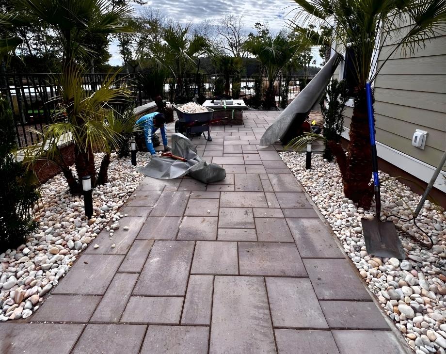 Worker installs pavers on a pathway with palm trees and pebbles, showcasing expertise of a custom pool builder.